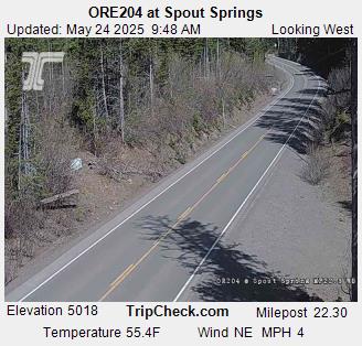 ORE204 at Spout Springs